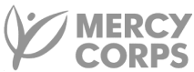 DIgital Transformation Mercy Coprs