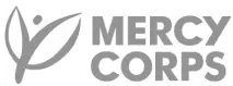 DIgital Transformation Mercy Coprs